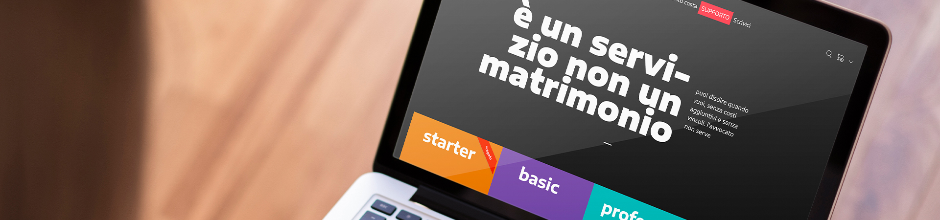 Sezione prezzi del sito Reginvoice, con messaggio ironico e colori distintivi dei piani di abbonamento